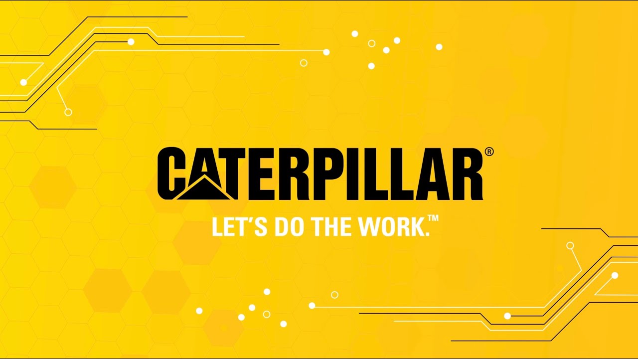 Celebrating One Year of Innovation: Cat Digital Marks Its First Anniversary in Slovakia!