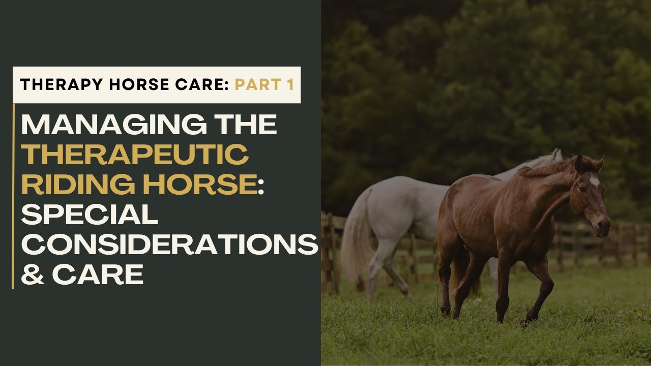 Therapy Horses: Managing the Therapeutic Riding Horse: Special Considerations & Care- Part 1