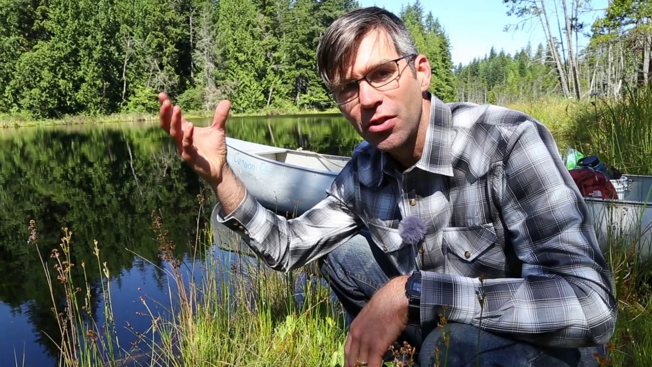 Bog Flora of the Pacific Northwest
