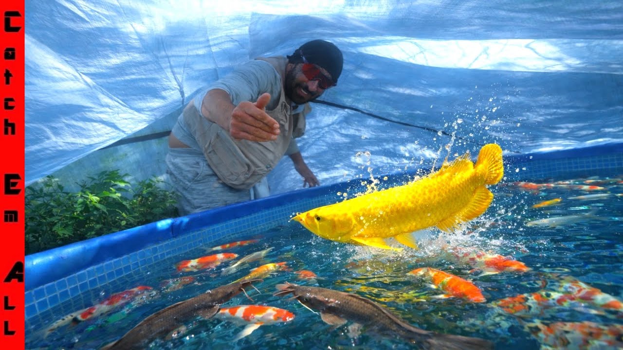 We BUILT a FISH GREENHOUSE for My PETS to SURVIVE the WINTER FREEZE! **It Worked**