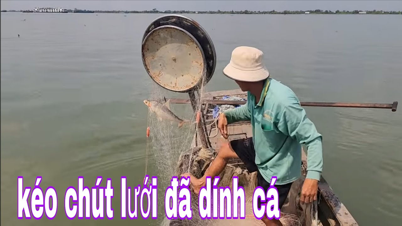 Hai Anh Em Bất Ngờ Mới Kéo Tay Lưới Neo Lên Cá Dính Lia Lịa Gỡ Liền Tay # SĂN BẮT ĐỒNG THÁP #