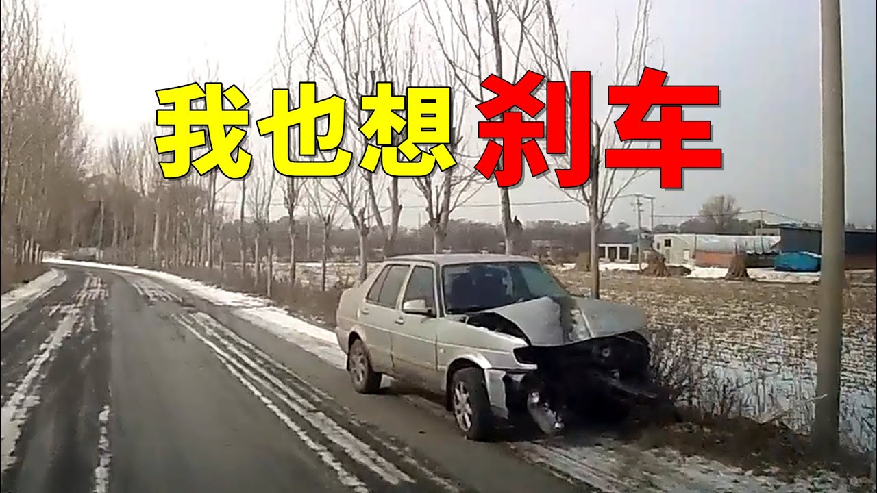 绝望的冰壶，我也想刹车，2024交通事故第29期