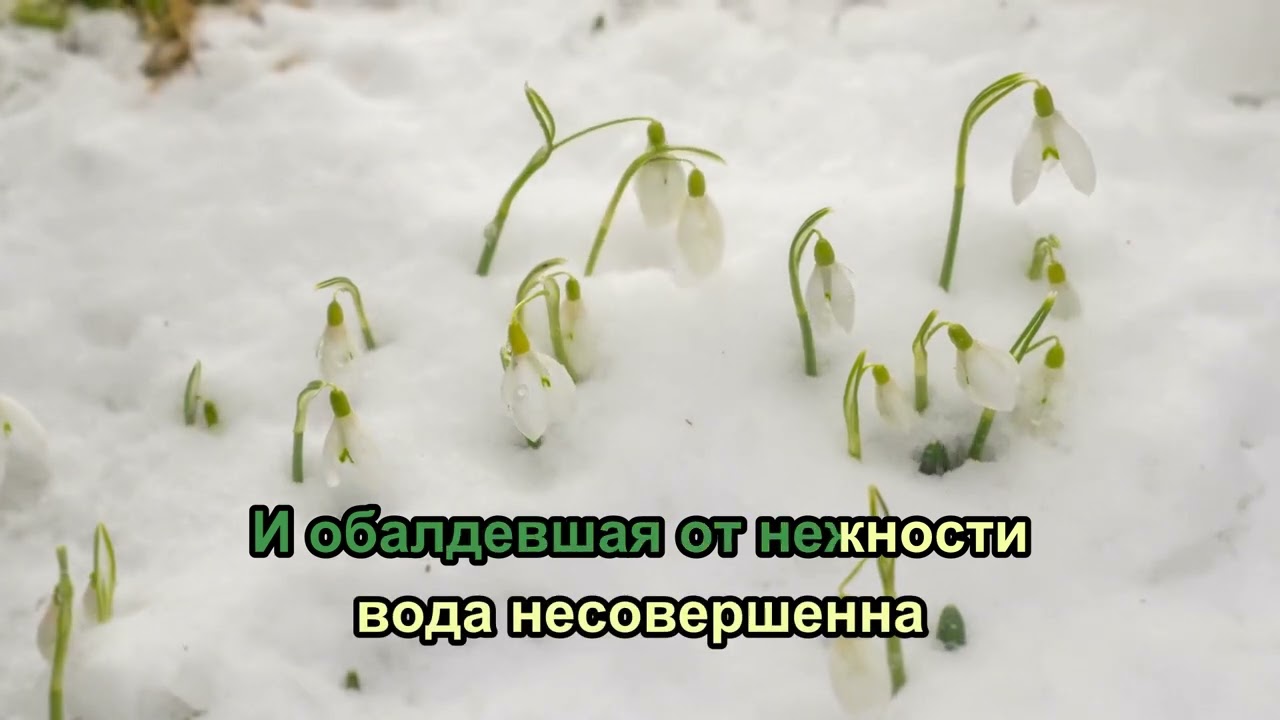 Tritia - 31 я весна (караоке)