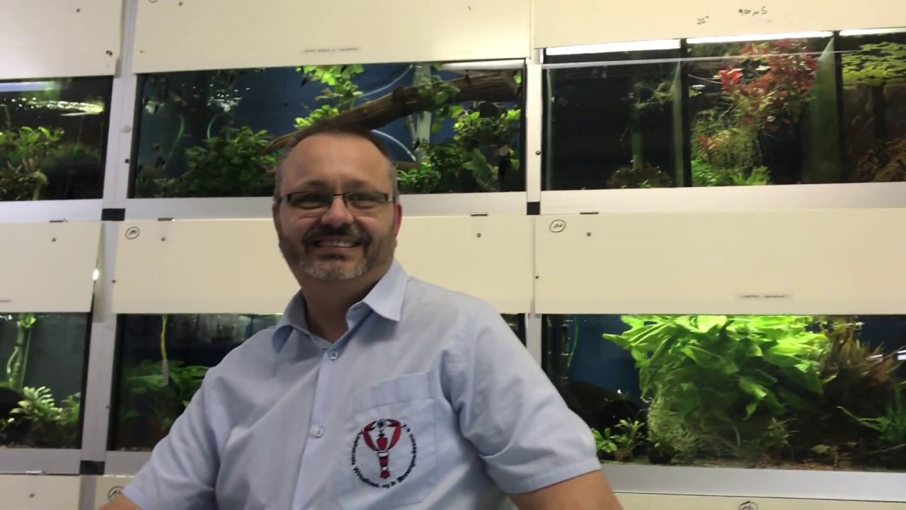 MEGAZOO Interview mit dem Garnelenzüchter L.Dwinger
