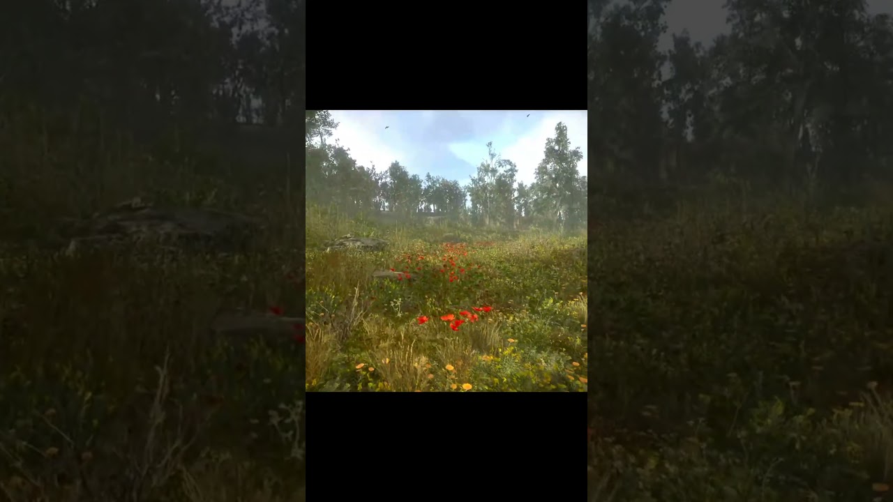 The shining zone #stalker2 #gaming #gameshorts