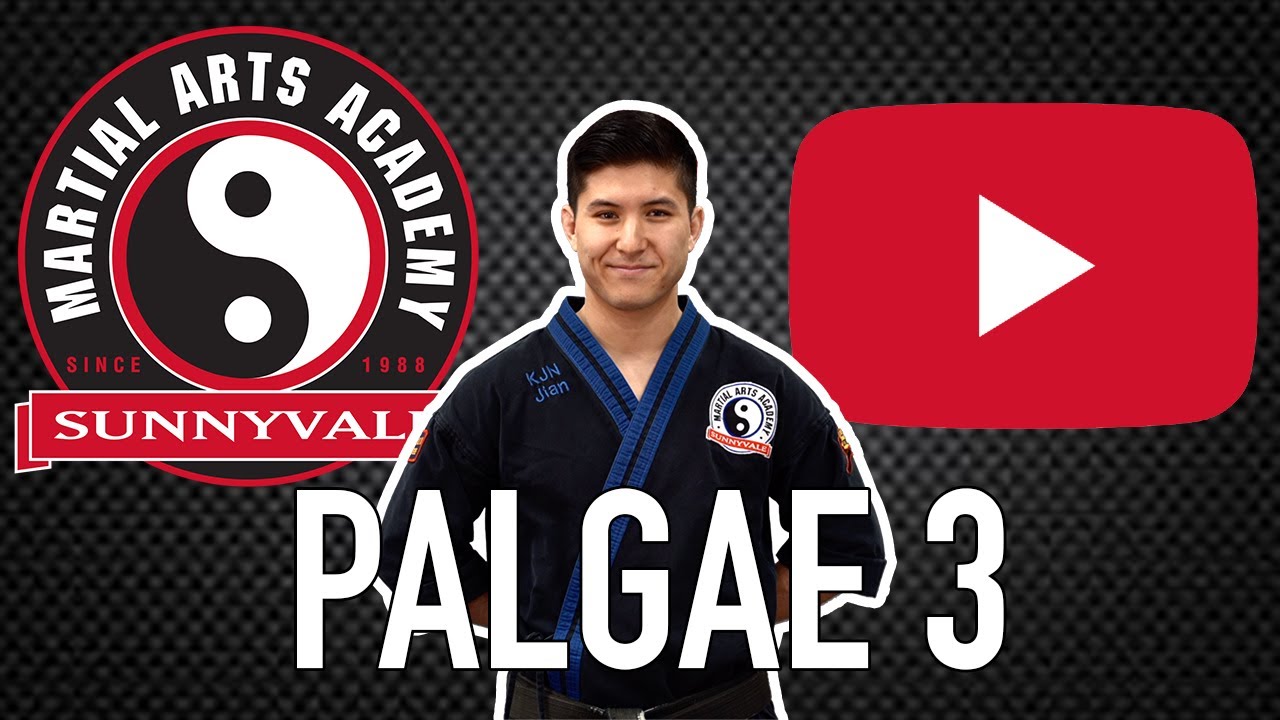 Palgae 3 | Sunnyvale Martial Arts Academy