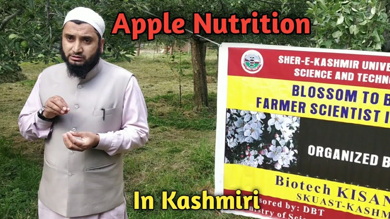 Part 1: Apple Nutrition by Dr. Mumtaz A. Ganie | Calcium, Boron, Nitrogen... | Hortikashmir
