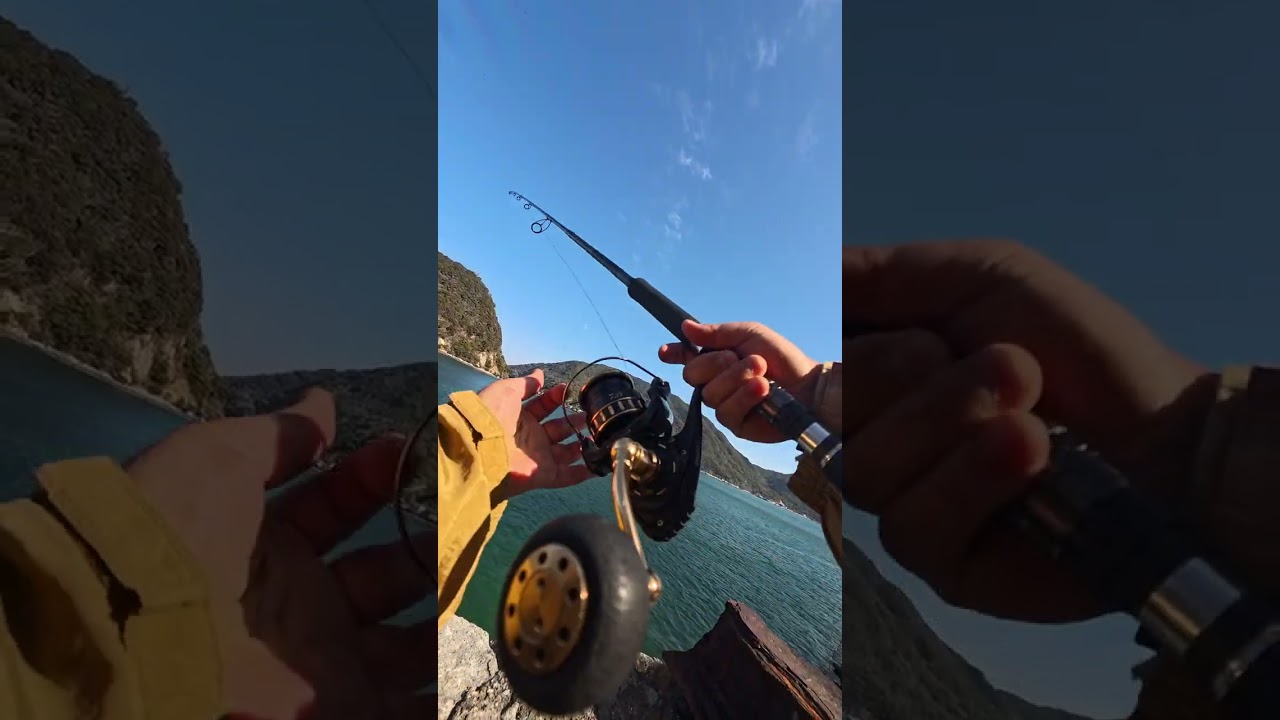 ✨神秘の湖畔で心を癒す釣り旅🌿自然と調和する時間をあなたに🎣