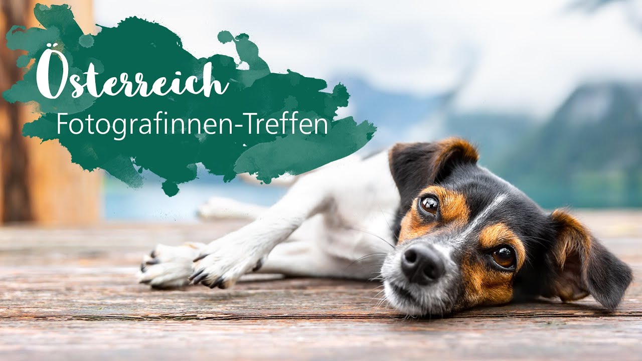 Österreich 🇦🇹 | Hundefotografen Anne Geier, Marina Reiter, Jasmin Hummer | Bulli Foto-Tour im Süden