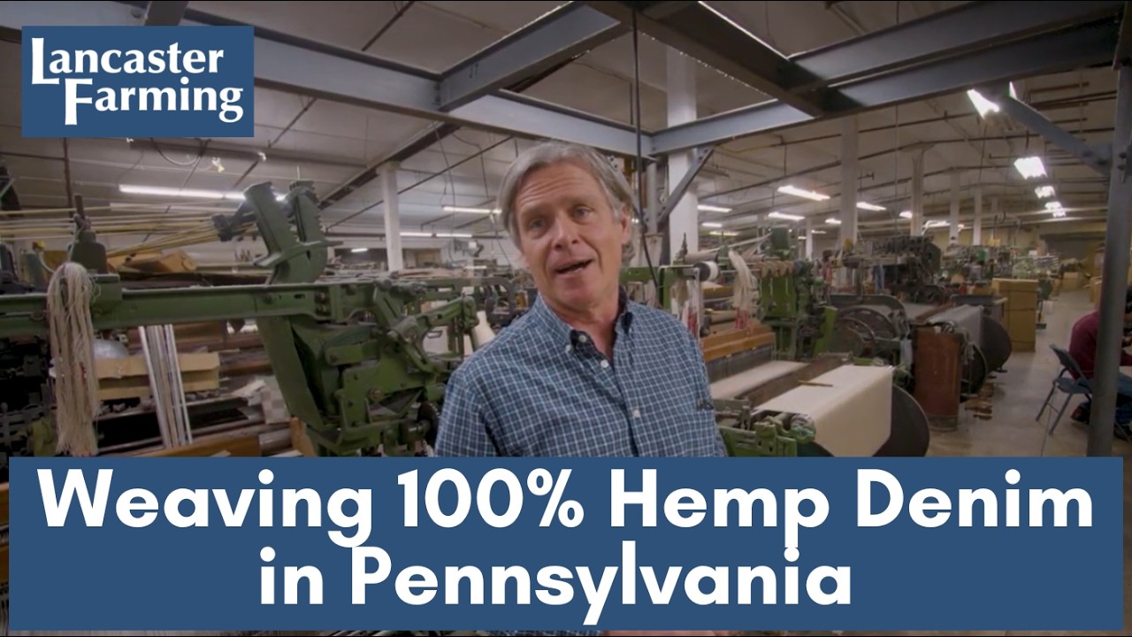 Not All Denim is Made the Same, Especially if it's 100% Hemp