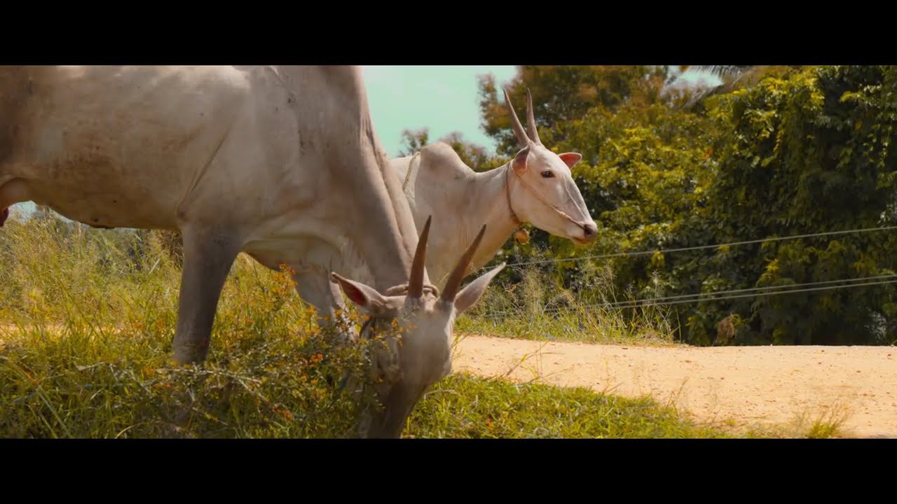 Art of Capturing #1 | Shot on Sony A6700