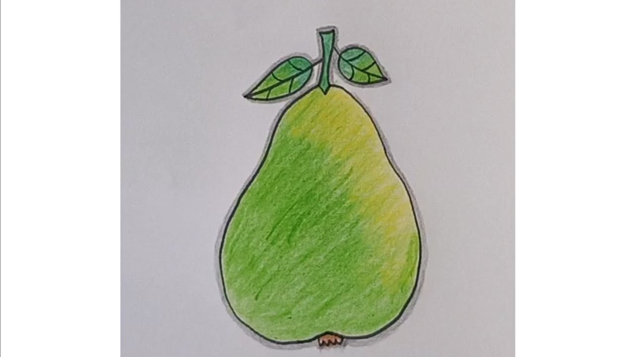 How to draw Guava🍐#Fruit drawing #drawing #art #easydrawing #S. B. Art 