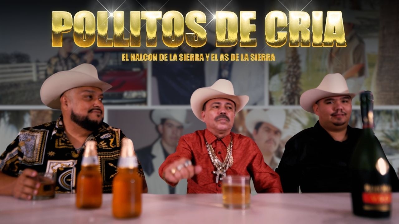Pollitos De Cría - El Halcón De La Sierra & El As De La Sierra (Video Oficial)