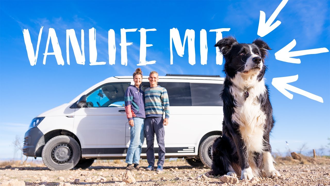 VANLIFE mit Hund!
