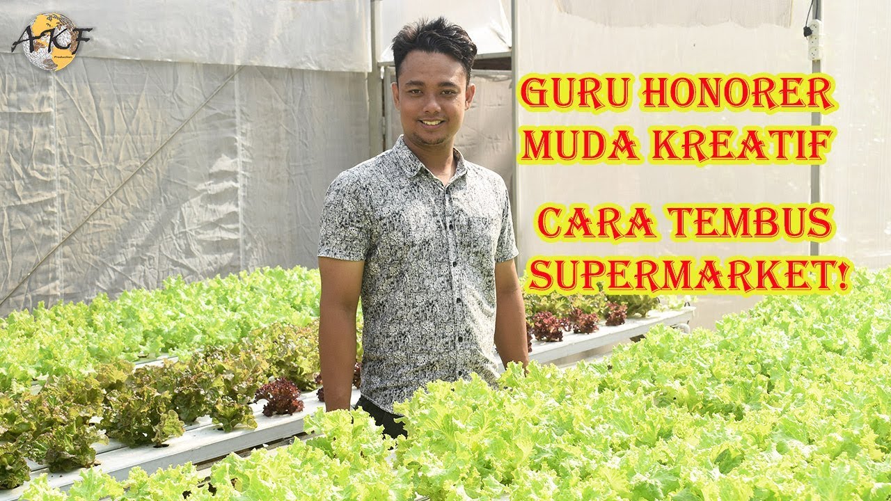 Kisah Sukses Pemuda Desa bertani Hidroponik