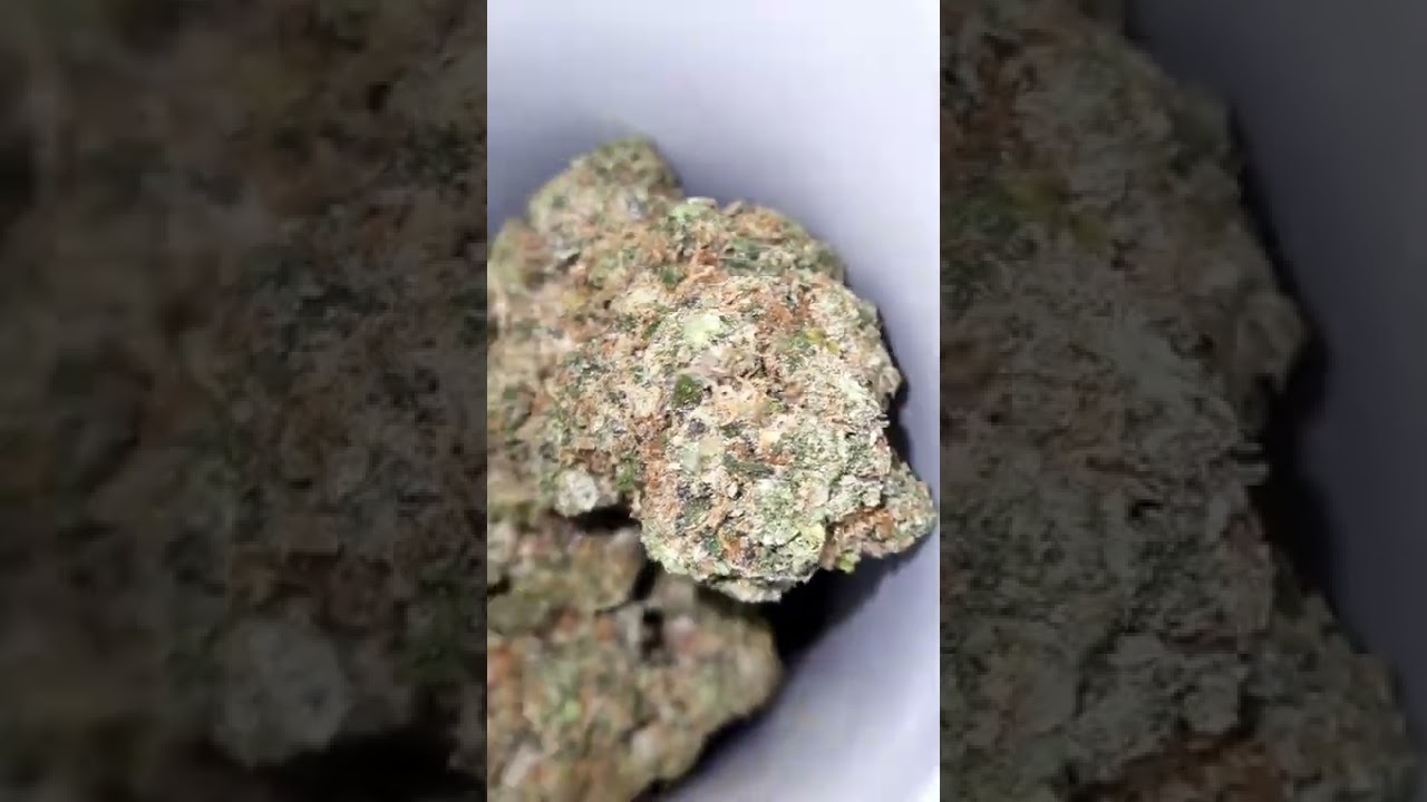 Cheek This Out New V2 Britscotti From No Other Than dank of England longlivebtr