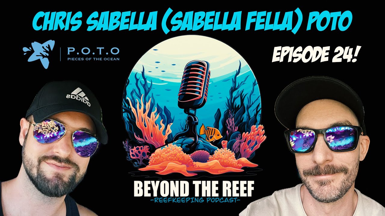 Episode 24: Chris Sabella (Sabella Fella / POTO)