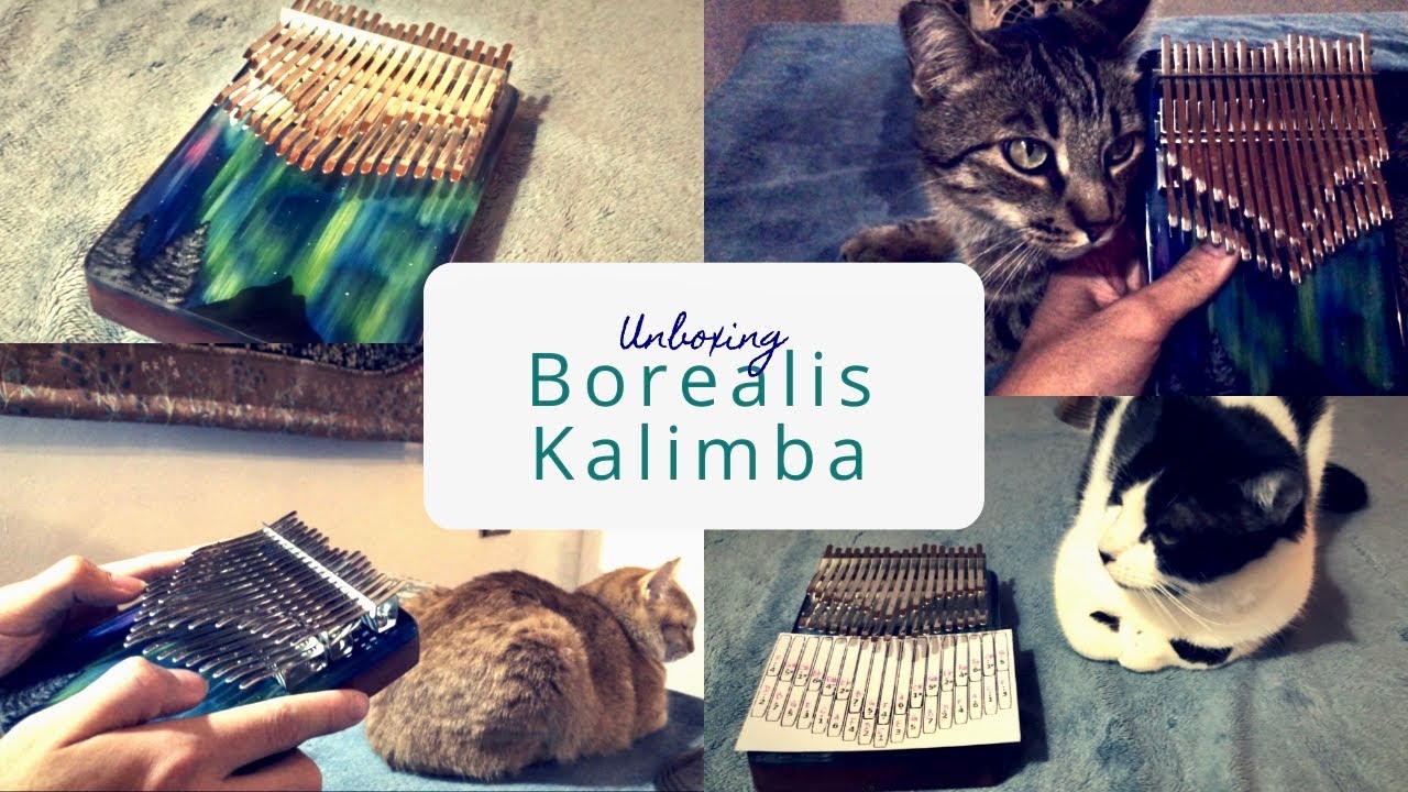 Unboxing 🇫🇷 Poopoopidoo 34-key sapele & resin chromatic kalimba – Utopia Borealis