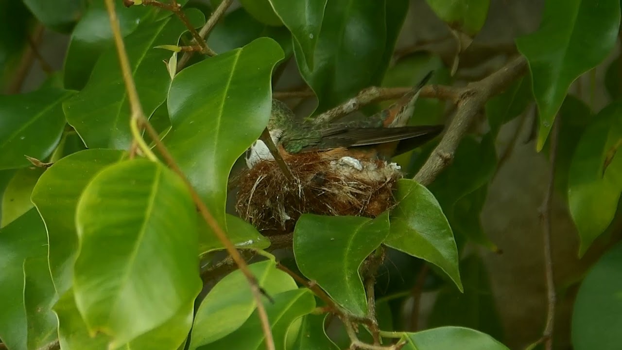 2023.03.18 - 100 0002 - Centerside