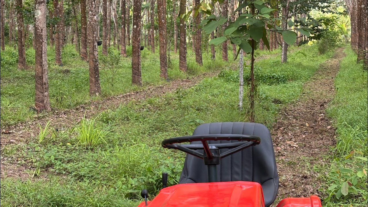 Kubota B6000 ตัดหญ้าสวนยาง