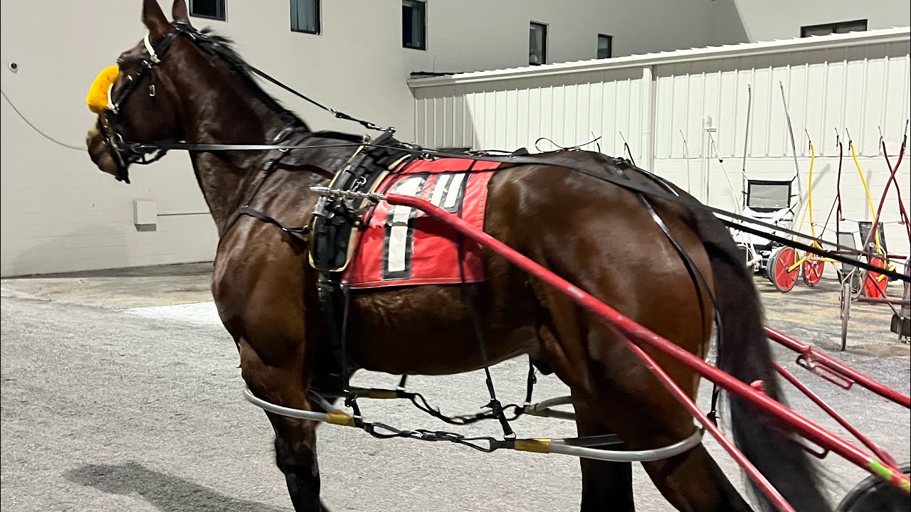 @Dover Maximum Luck Horse 1 on 3.2.26