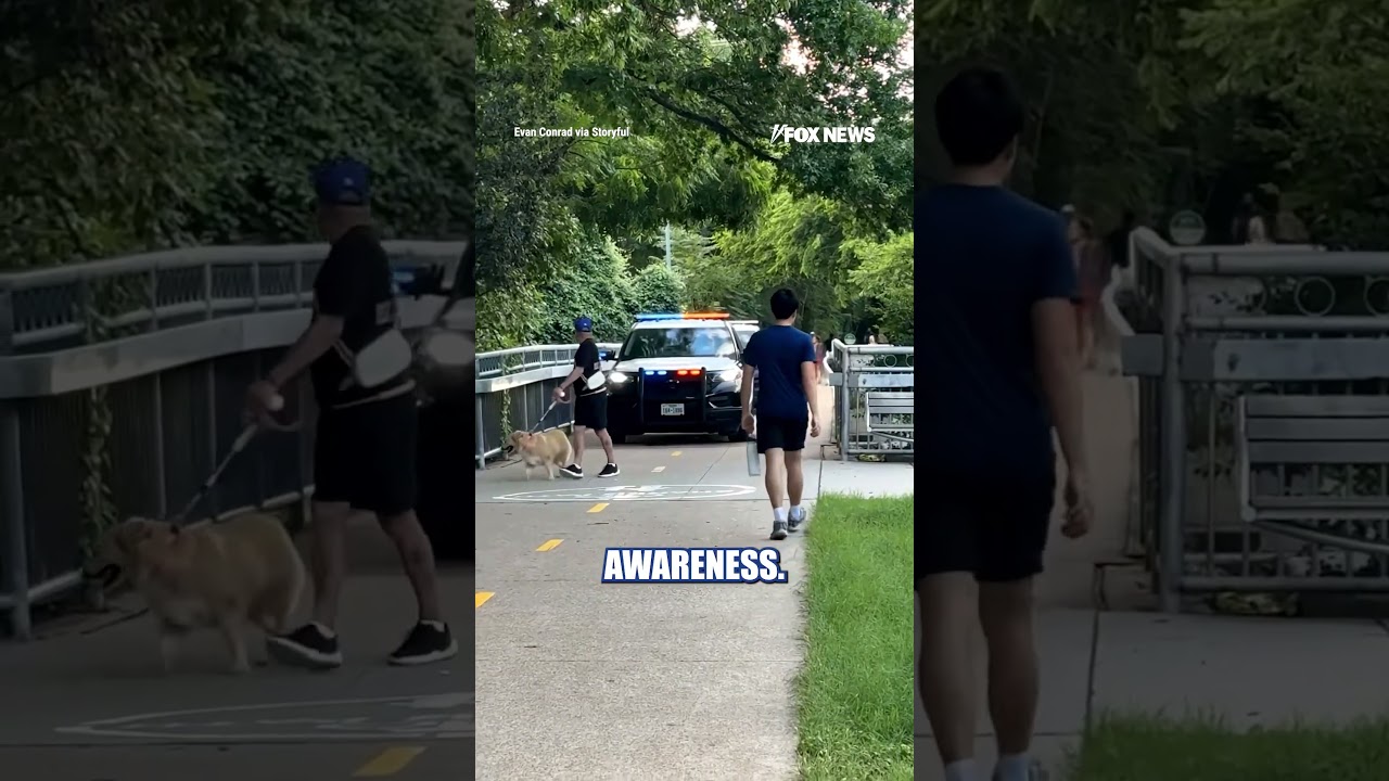 WATCH: Police officer couldn't resist poking fun at an oblivious dog walker