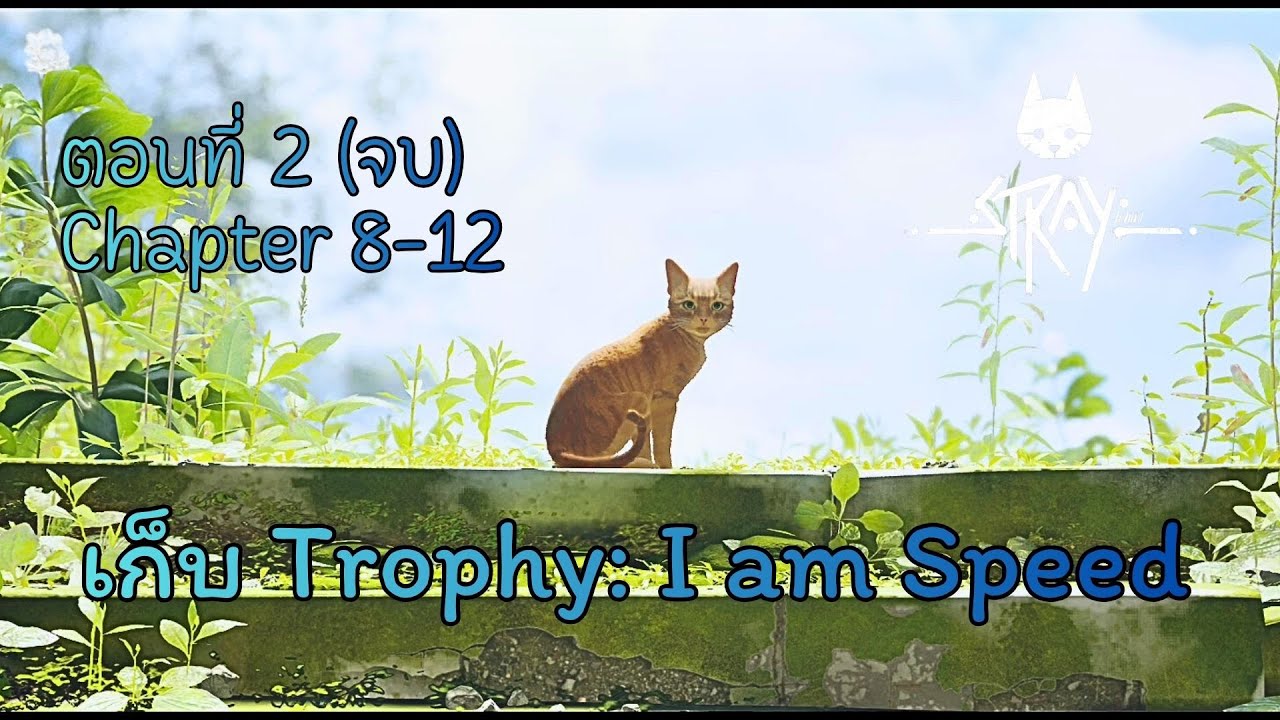 (ไกด์) ตอนที่ 2(จบ) เก็บ Trophy: I am Speed [Chapter8-12] - STRAY [PS5]