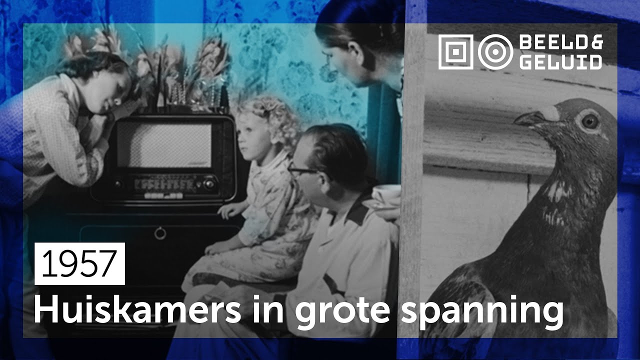 📼 5.000 Gulden voor snelste duif! (1957)