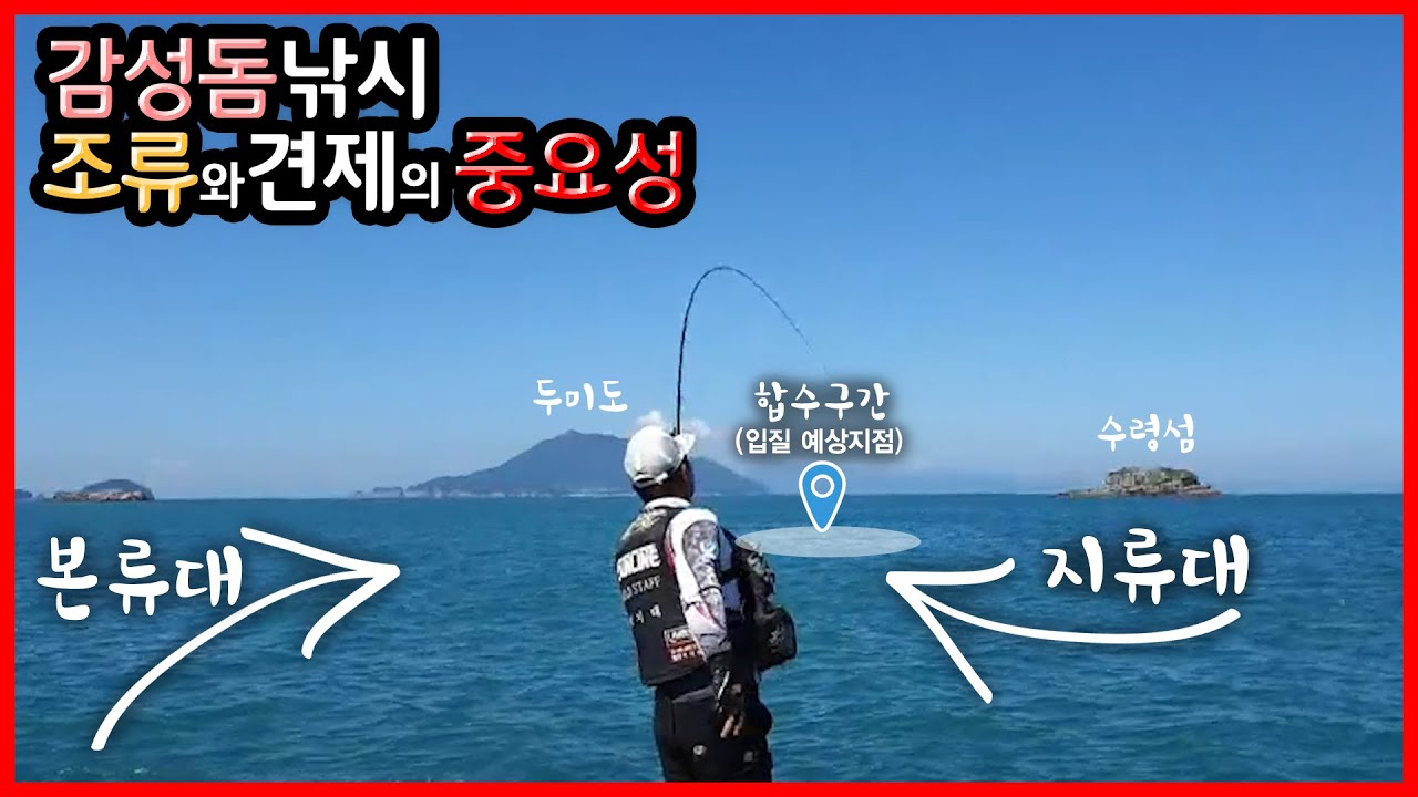 시즌을 알리는 욕지도 감성돔 낚시 4마리 (조류와 견제의 중요성)
