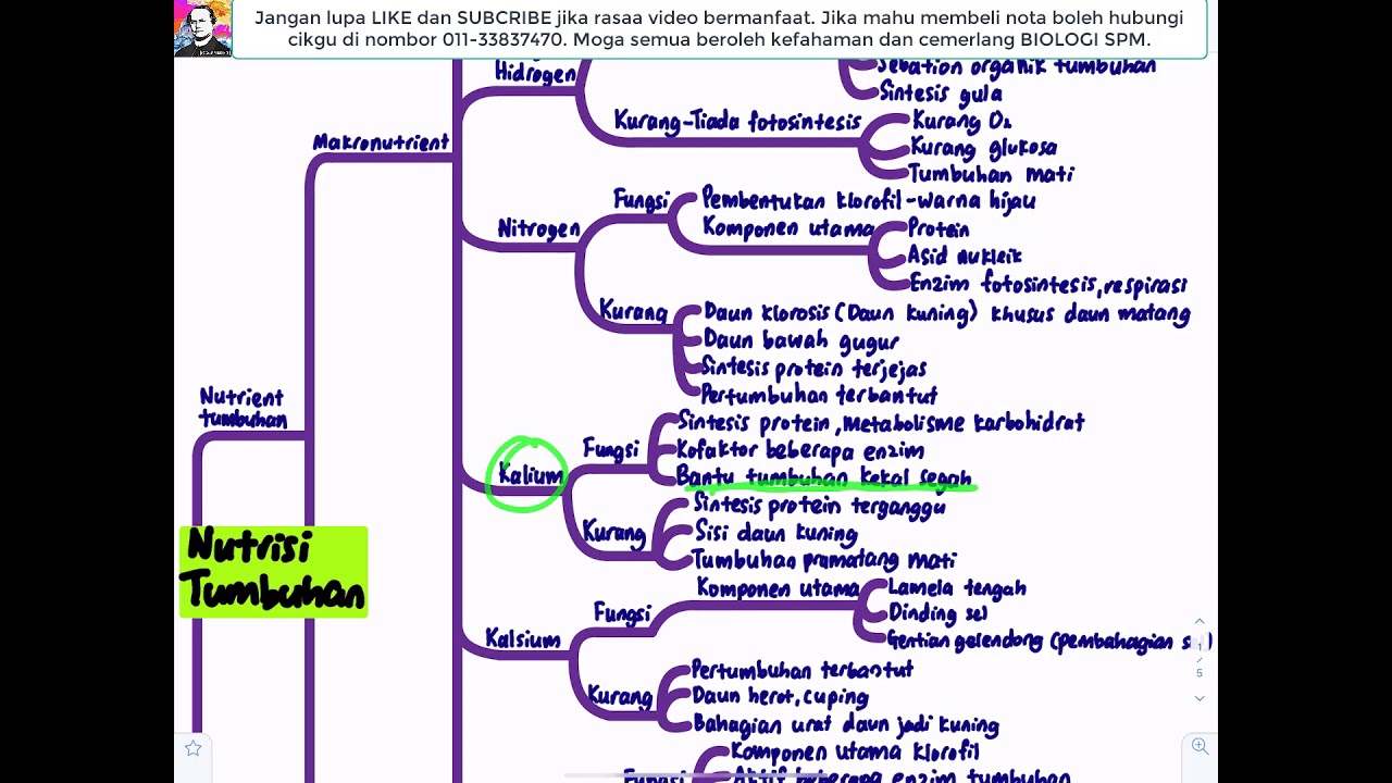 BIOLOGI KSSM T5- Bab 3 Nutrisi dalam Tumbuhan
