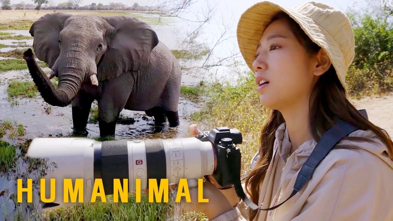 Park Shin Hye Have to Count by Looking at Elephant's Trunks [Humanimal Ep 1]