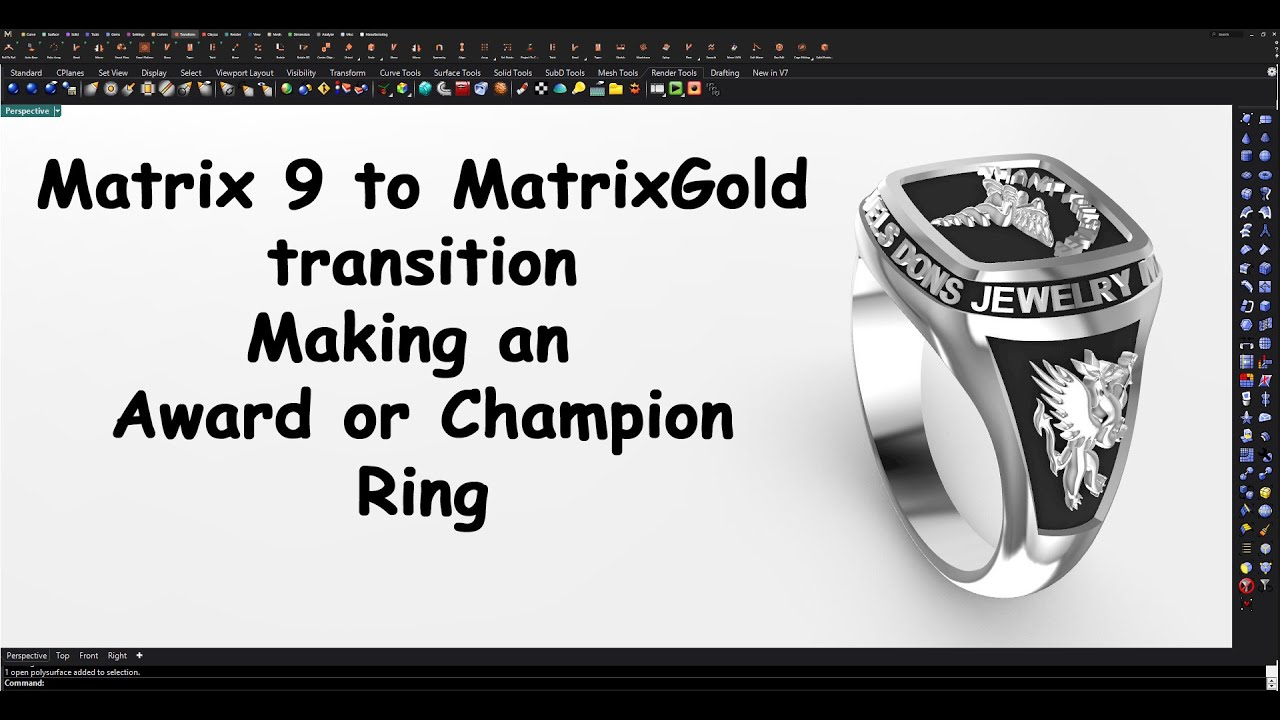 MatrixGold  Award or Champion Ring