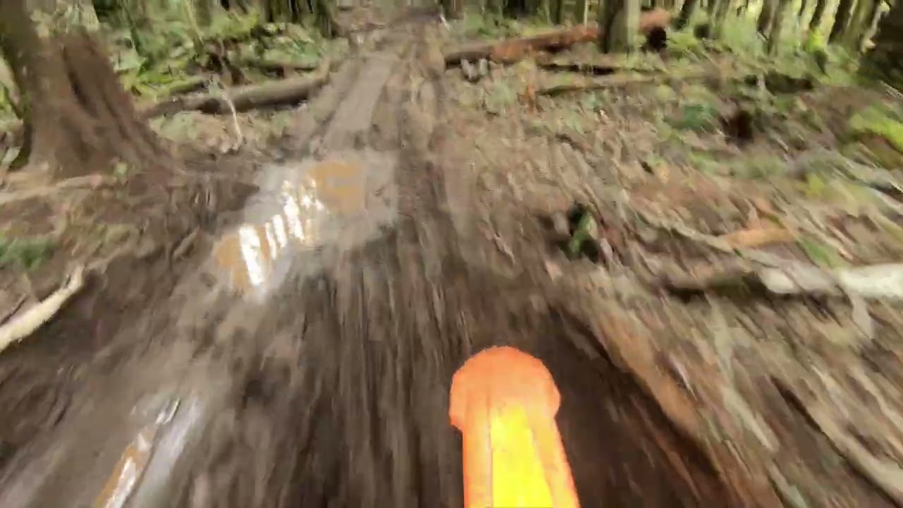 KTM 500 EXC-F :: A great way to start 2023! Walker Valley, WA
