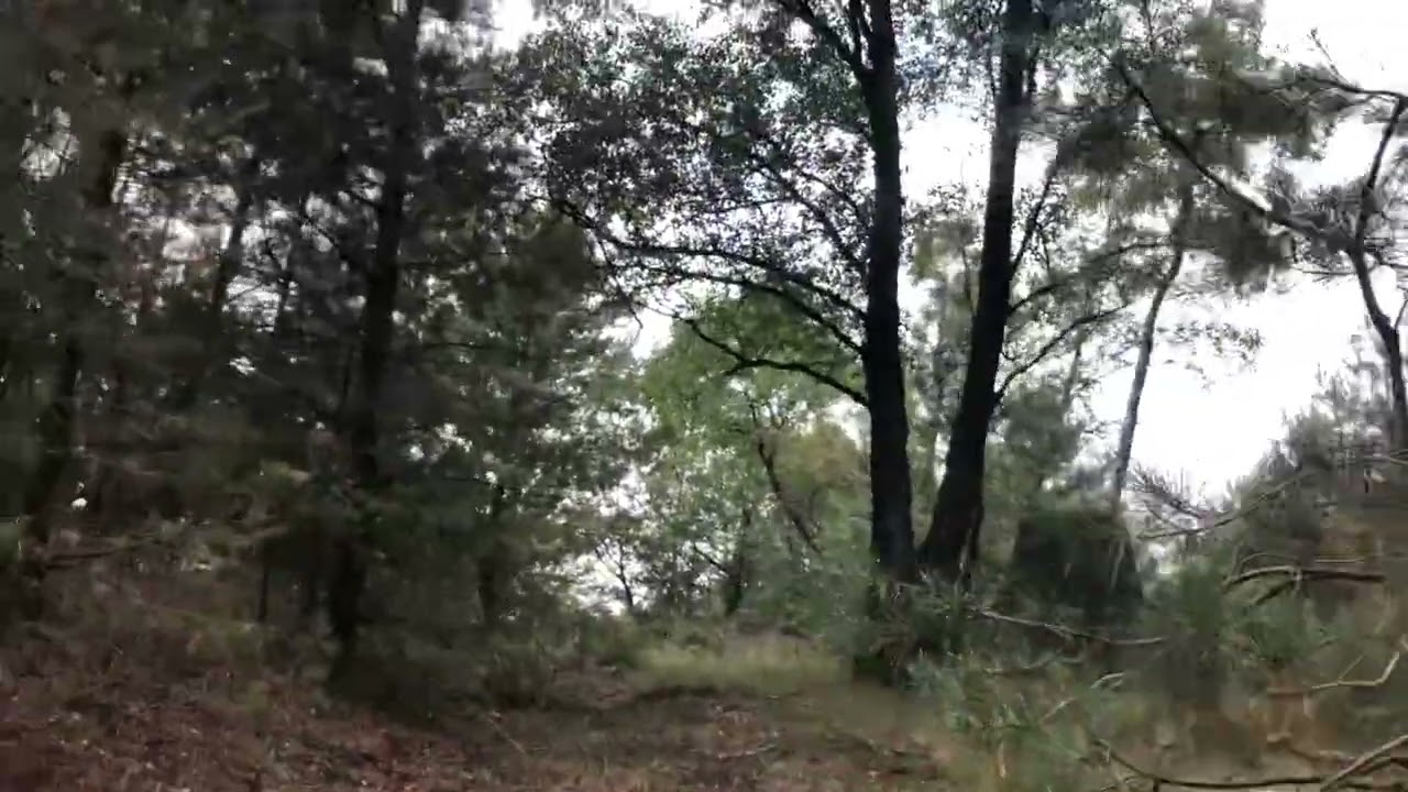 De Teerose op de Veluwe en een waterbunker.