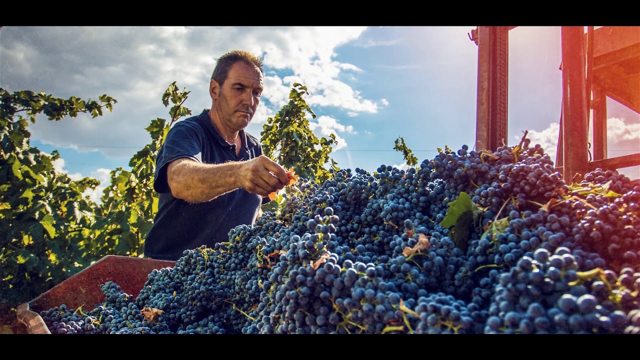 Bodegas Ilurce  - 2.37mins