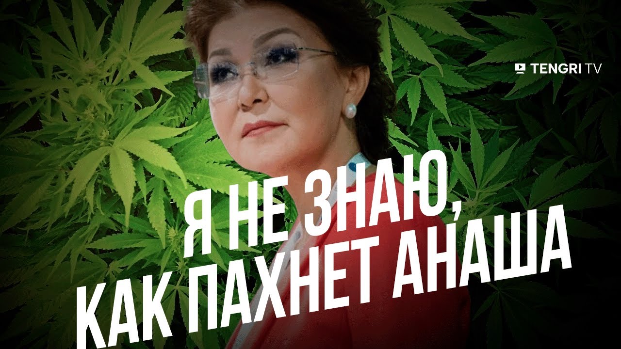 Дарига Назарбаева: Я не знаю, как пахнет анаша