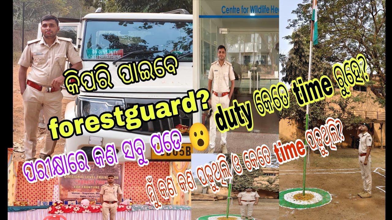 କେମିତି ମୁଁ forestguard ପାଇଲି ଜାଣନ୍ତୁ 💯🔥//କଣ କଣ ପଢ଼ୁଥିଲି ଜାଣନ୍ତୁ?? 💯//osssc fg strategy ମୋର କଣ  ଥିଲା??