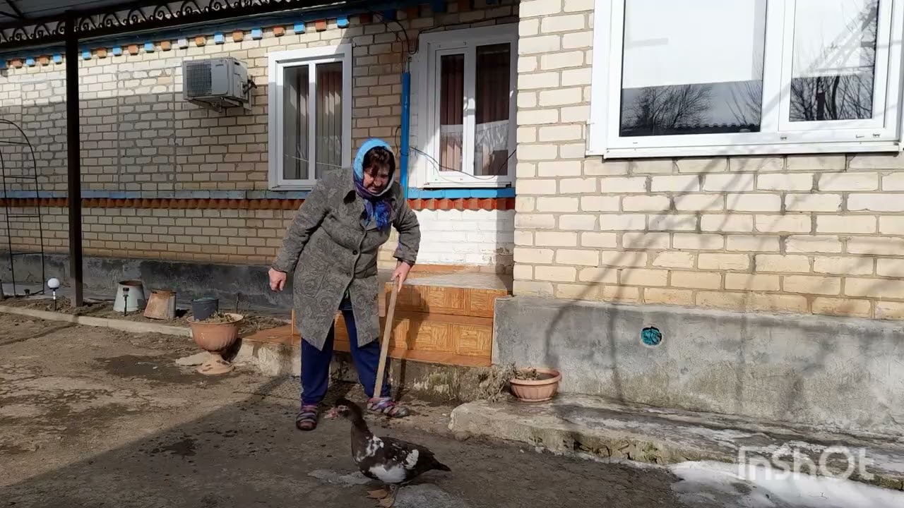 Жизнь в селе/ обычный день/ погода/ хозяйство/