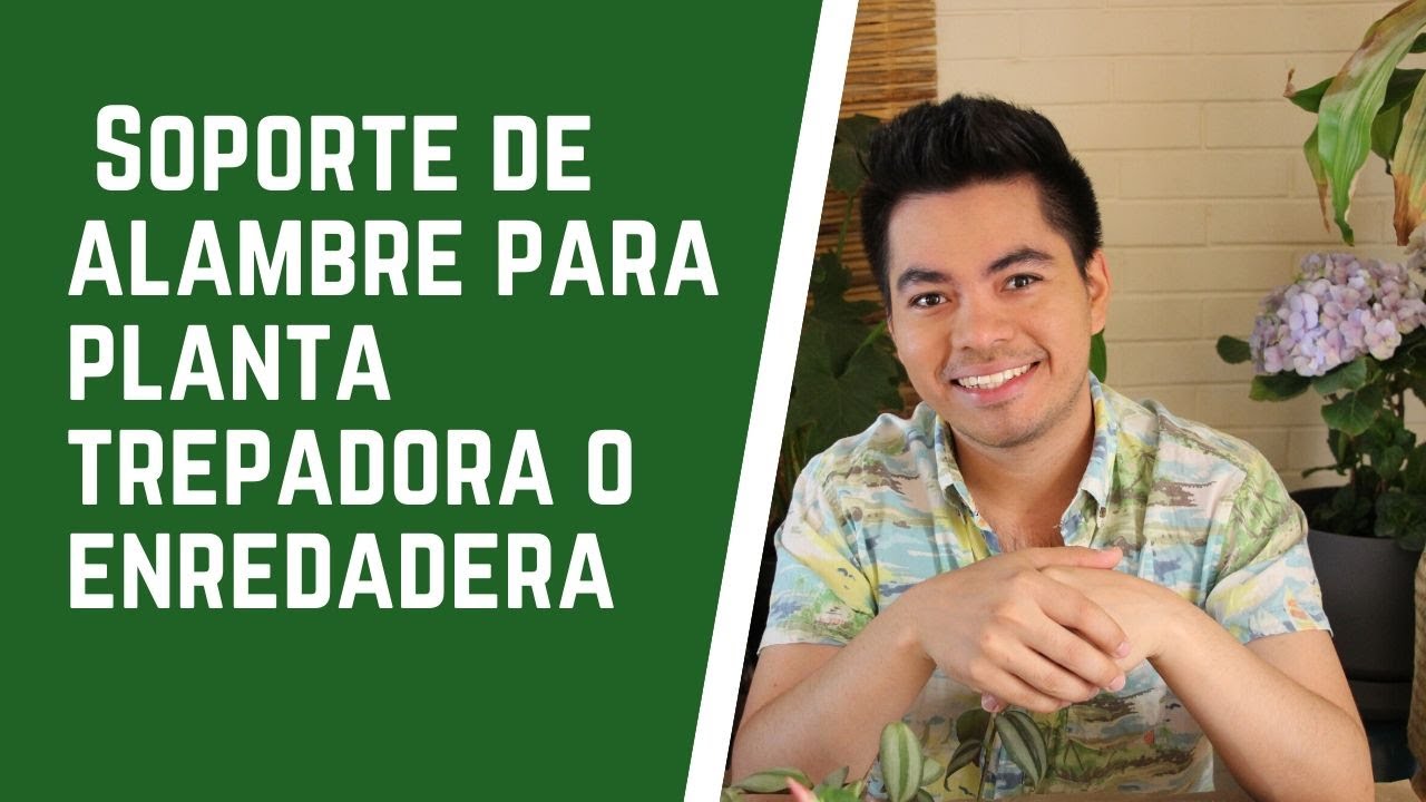 Construye un soporte de alambre para una planta trepadora o enrededadera