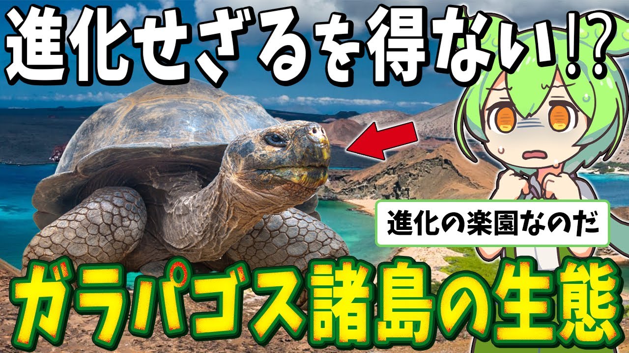 ダーウィンが見た&ldquo;進化の楽園&rdquo;は今&hellip;？ ガラパゴスに迫る危機とは？【ずんだもん解説】