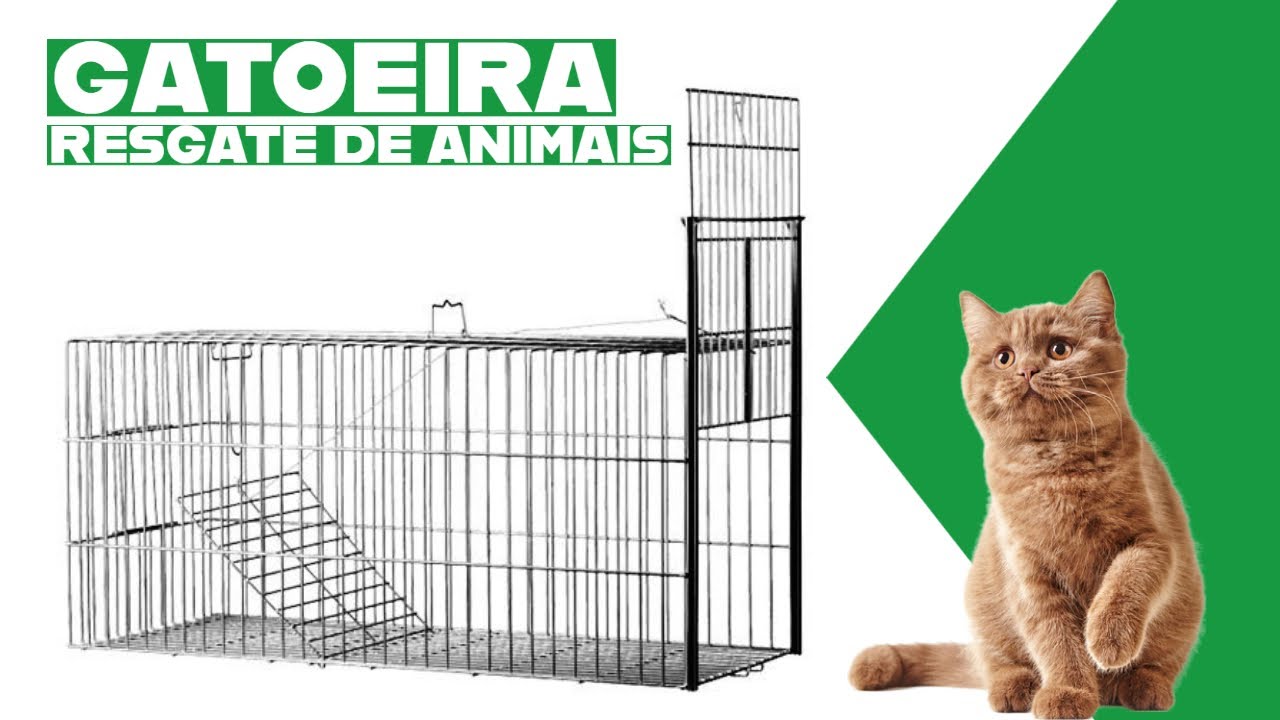 GATOEIRA - ARMADILHA PARA CAPTURA E RESGATE DE ANIMAIS