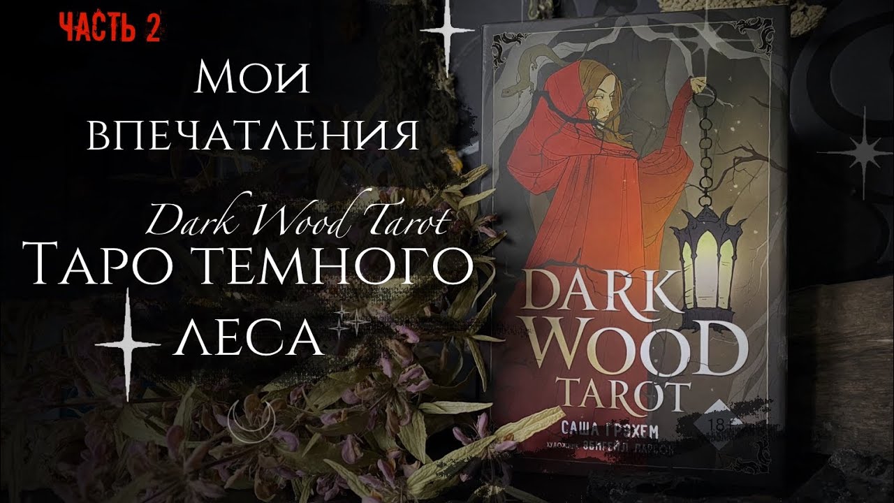 Dark wood Tarot/Таро темного леса/Мои впечатления от колоды/Vlog/Wicca