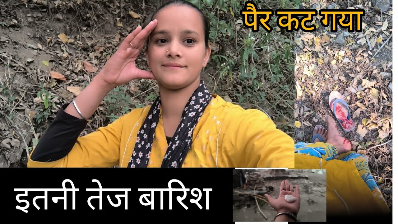 जंगल में पैर कट गया || pahadi village Life vlog || #uttarakhand