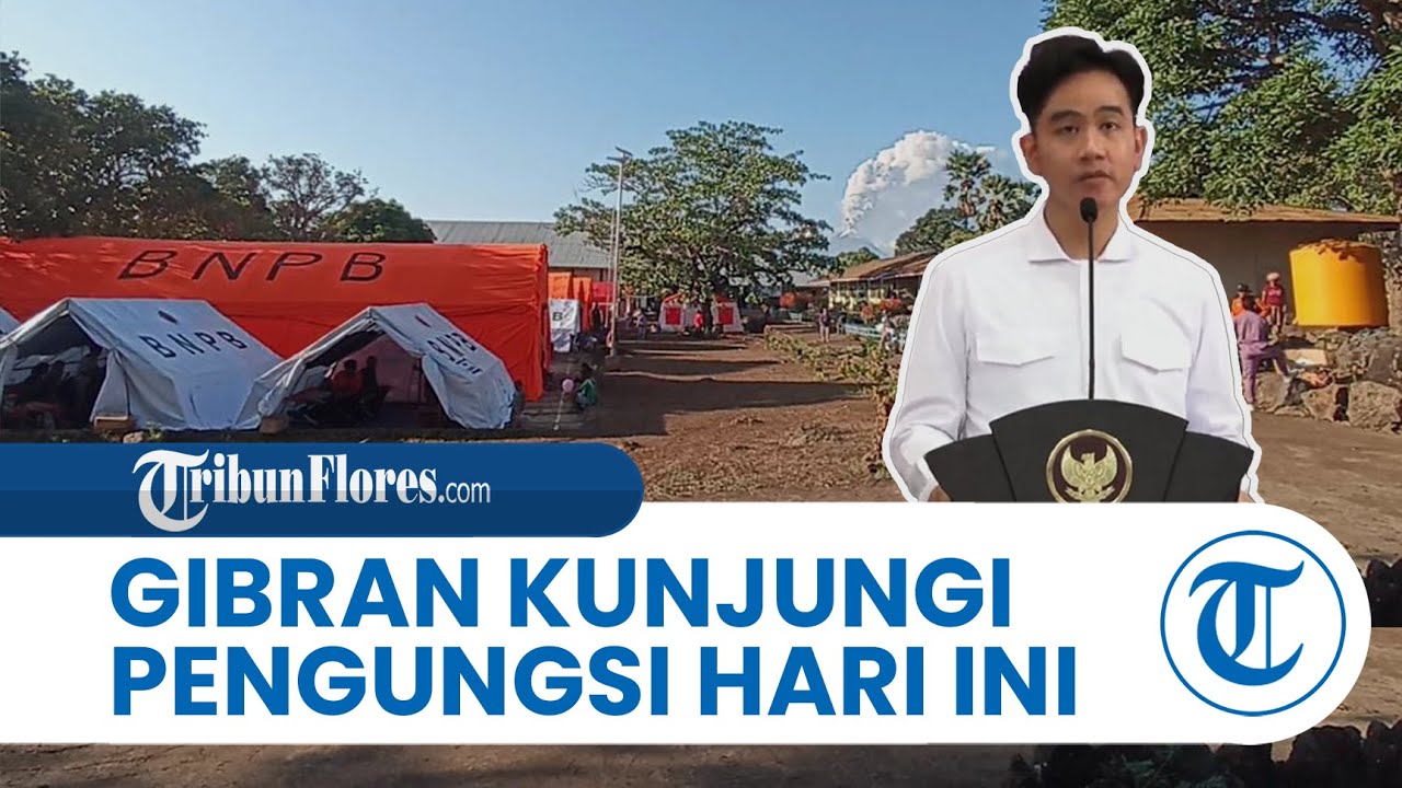 Wapres Gibran Rakabuming Kunjungi Pengungsi Hari Ini, Gunung Lewotobi Gemuruh Kuat