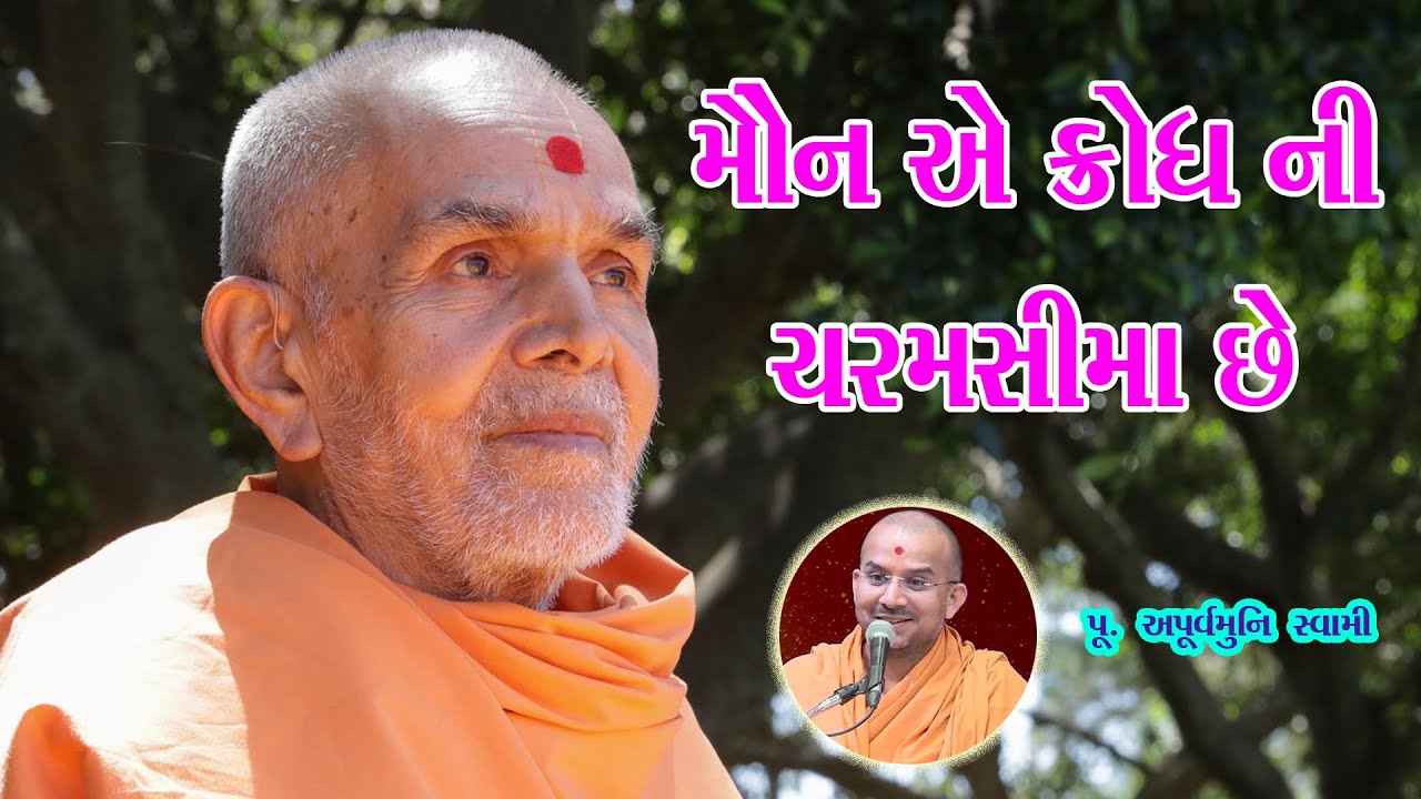 મૌન એ ક્રોધ ની ચરમસીમા છે | BAPS Pravchan 2022 | Apurvmuni Swami|BAPS Motivational Speech|BAPS Katha