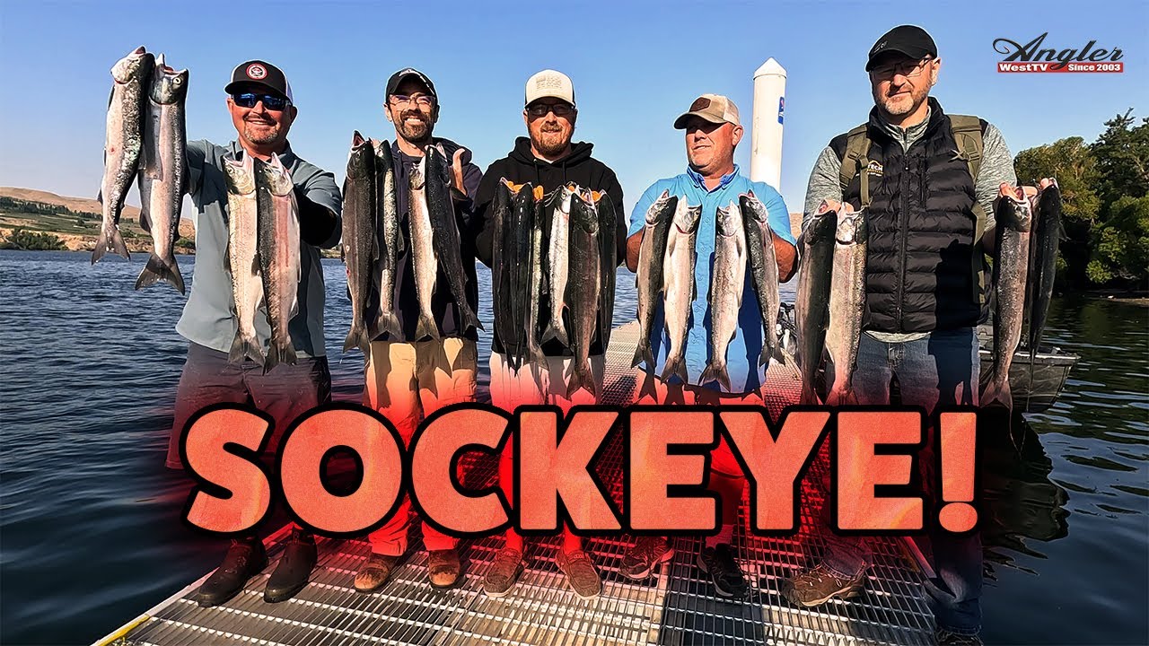 Columbia River Brewster Pool Sockeye Fishing (2024)