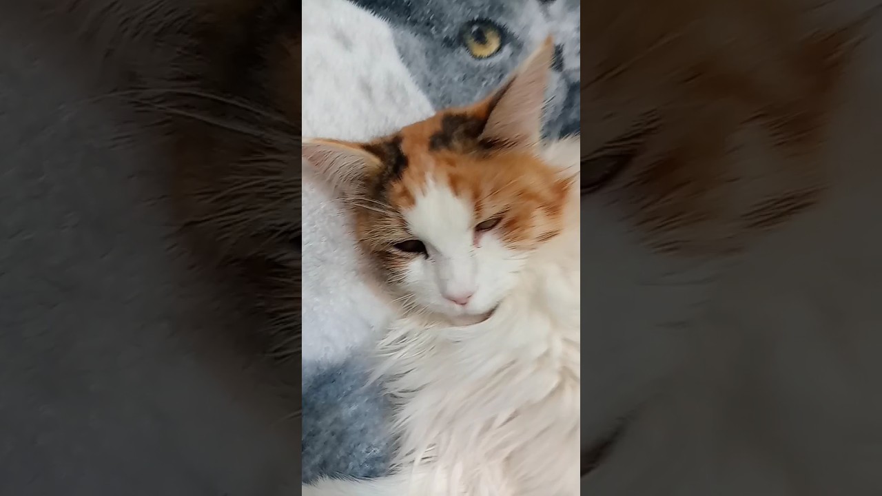 а это точно??? 760 серия 