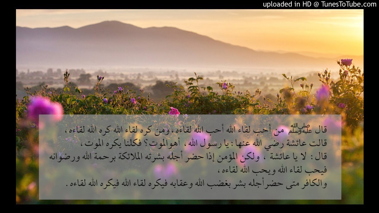 الفزع الاكبر - الشيخ عبد الله أبو قيان سلسلة مراحل الدار الآخرة بدءاً من الوفاة