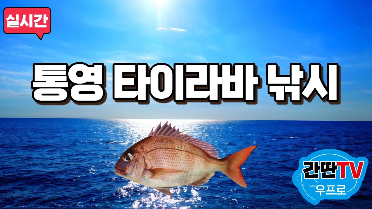 Live) 통영 타이라바 낚시!