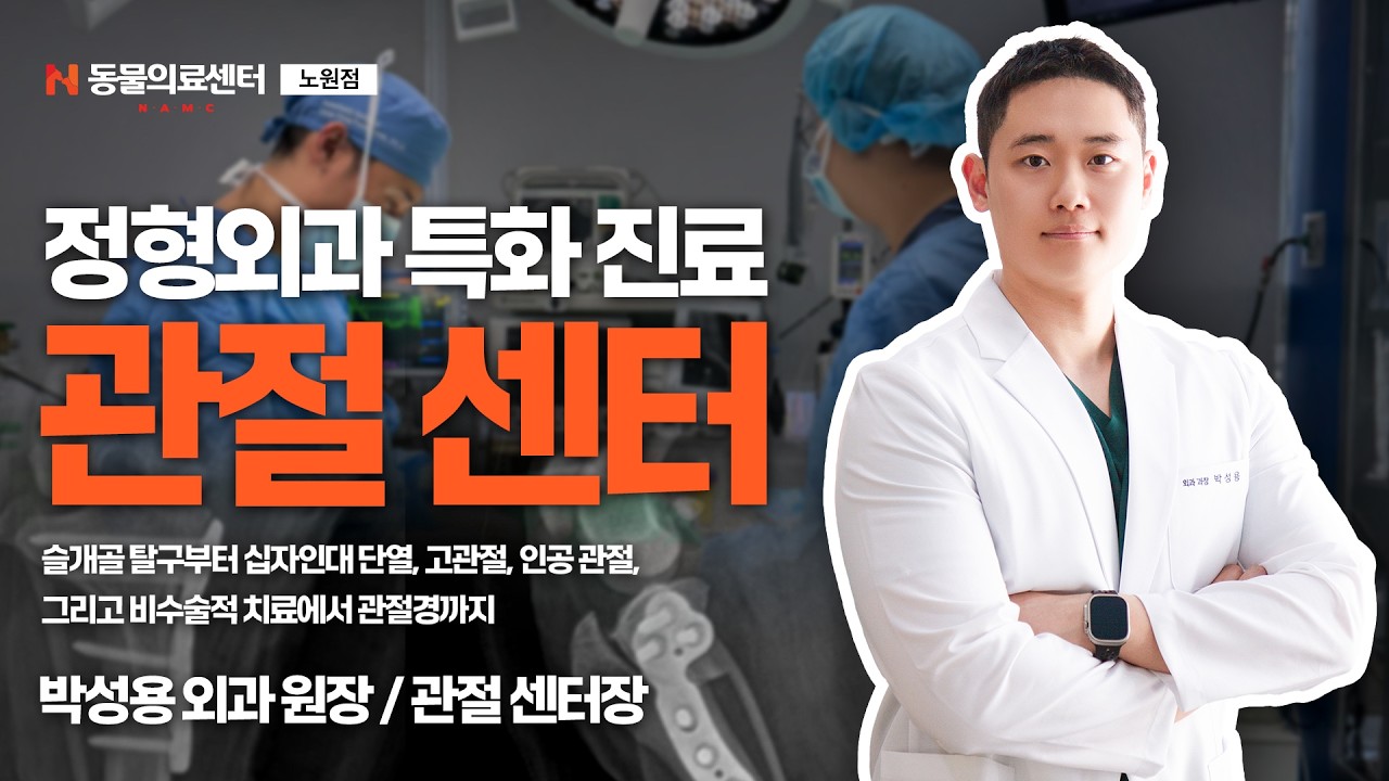 반려동물 관절 수술? N동물의료센터 박성용 관절 센터장님이 속 시원하게 소개해 드립니다.